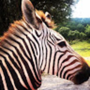 Meet your Posher, Lorie